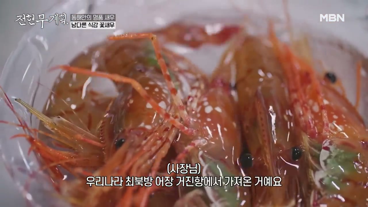 수조에서 바로 꺼내 온 새우