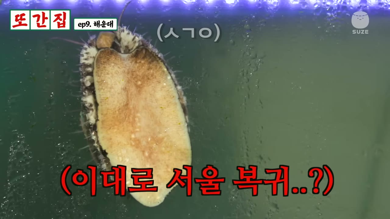 전복 한 점을 들어 보인 장면
